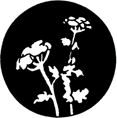 Hobby Lobby’s logo in 1974.